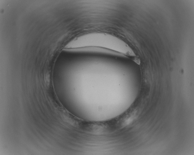 X0000077370697200611101704