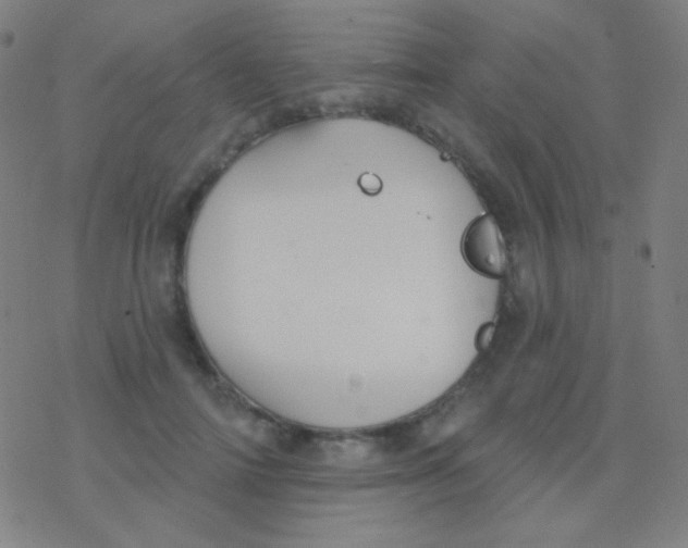 X0000077370698200611101704