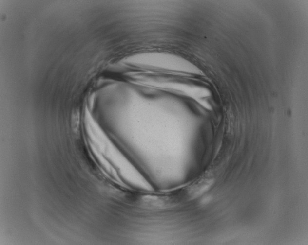 X0000077370699200611101704