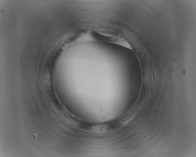 X0000077370700200611101704