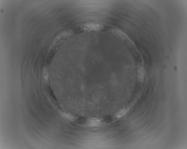 X0000077370701200611101704