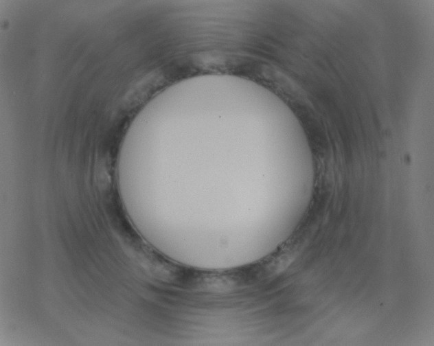 X0000077370702200611101704