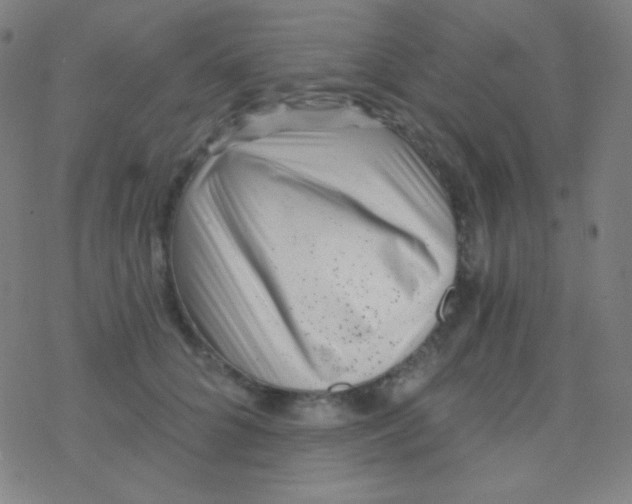 X0000077370704200611101704