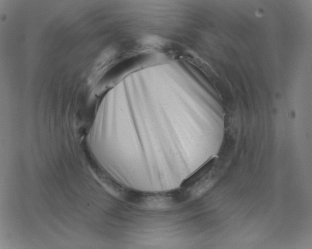 X0000077370708200611101704