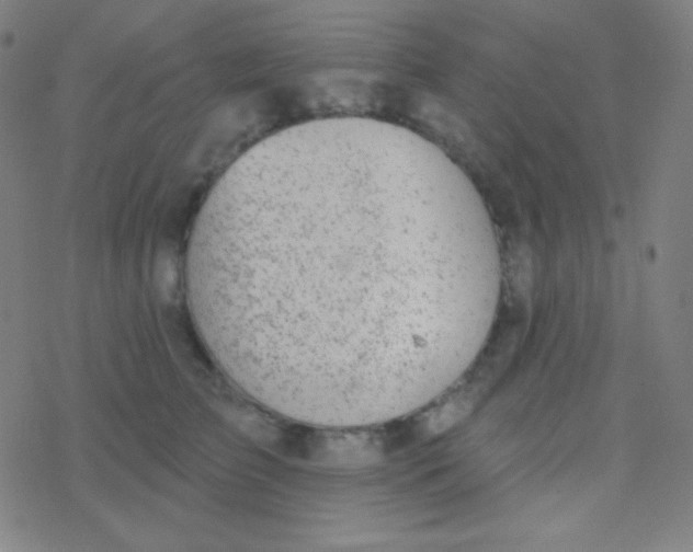 X0000077370709200611101704