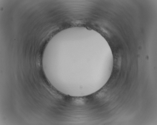 X0000077370710200611101704