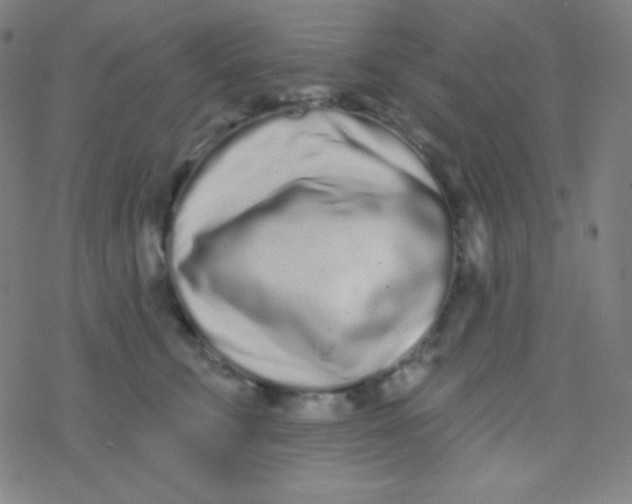 X0000077370711200611101704