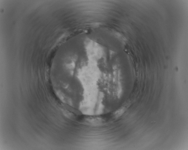 X0000077370712200611101704