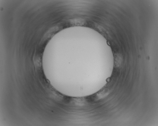 X0000077370713200611101704