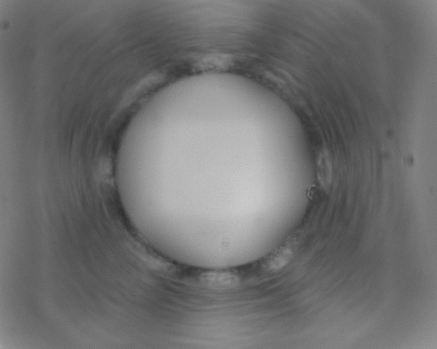 X0000077370714200611101704