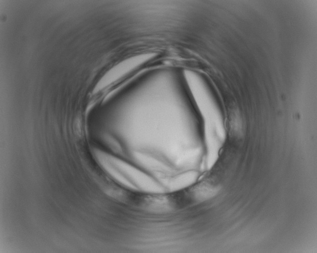 X0000077370715200611101704