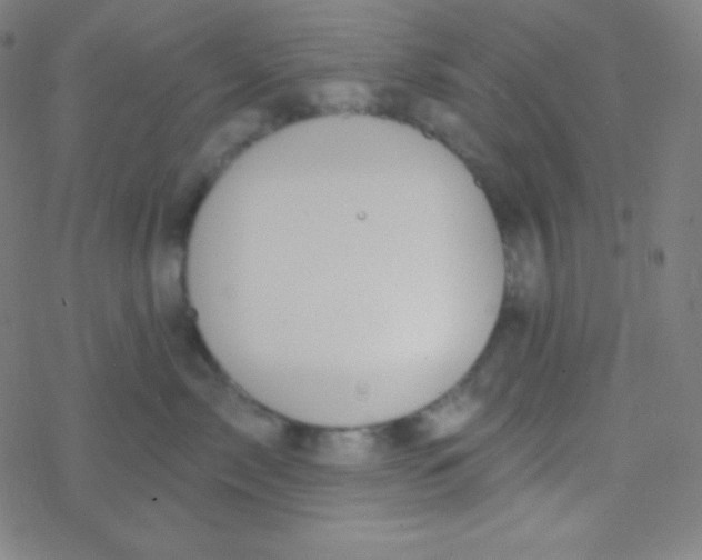 X0000077370717200611101704