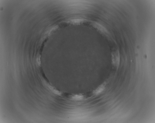 X0000077370718200611101704