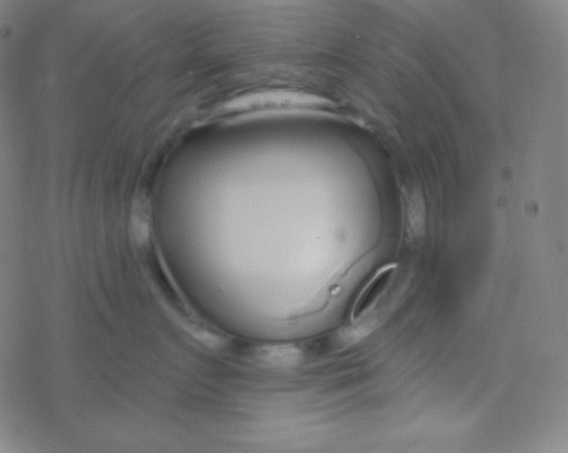 X0000077370719200611101704