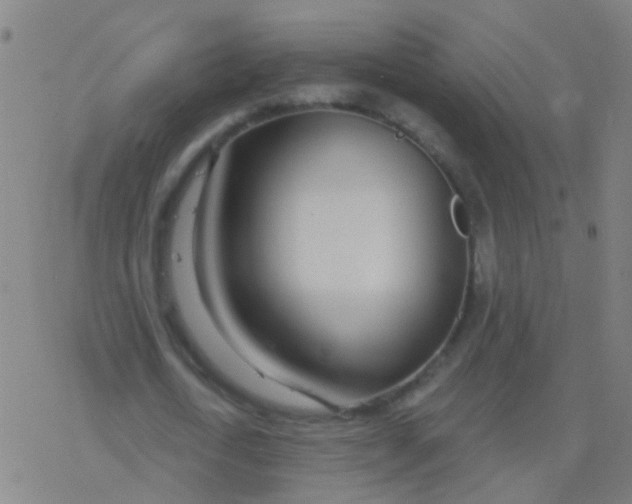 X0000077370722200611101703