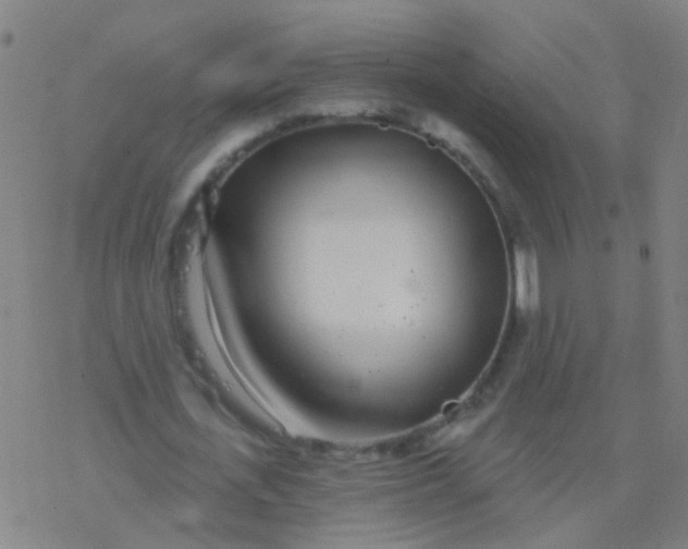 X0000077370723200611101703