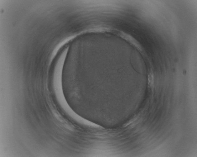 X0000077370724200611101703