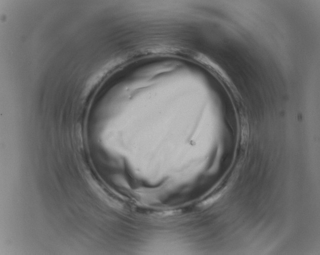 X0000077370725200611101703