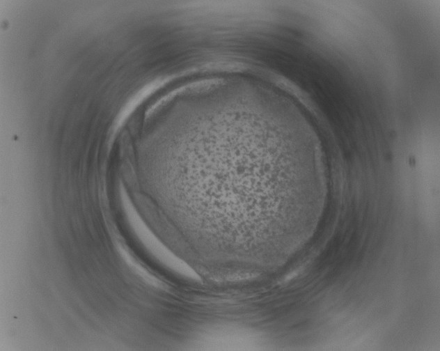 X0000077370726200611101703