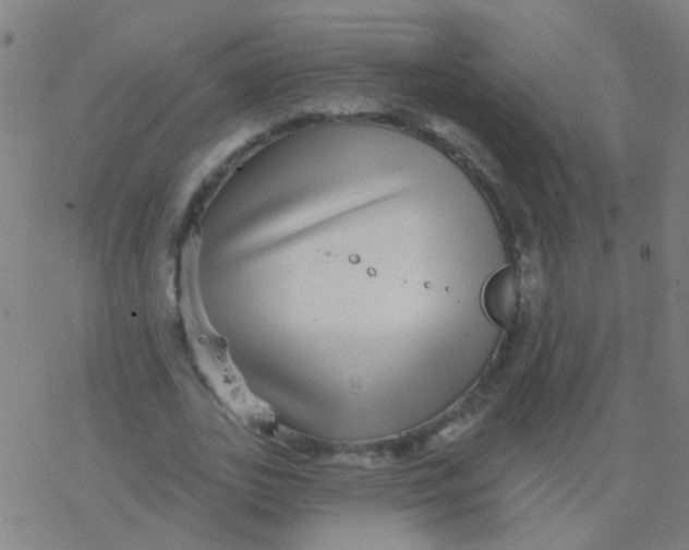 X0000077370727200611101703