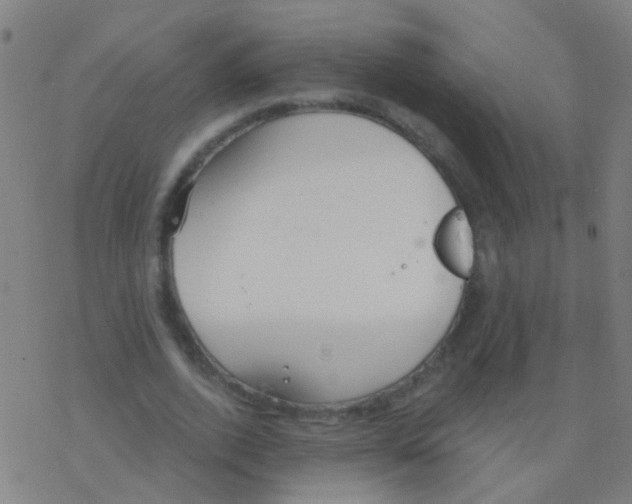 X0000077370728200611101703