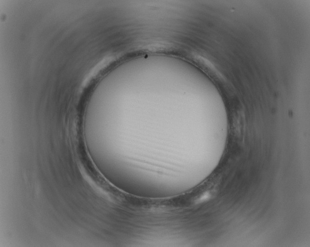 X0000077370730200611101703