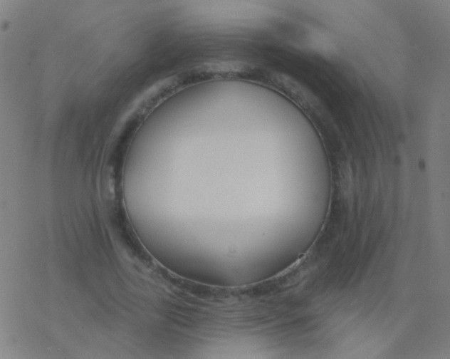 X0000077370731200611101703