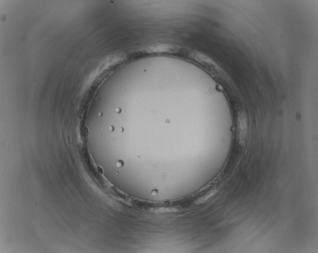 X0000077370734200611101703