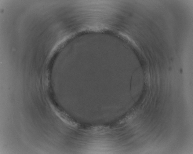 X0000077370736200611101703