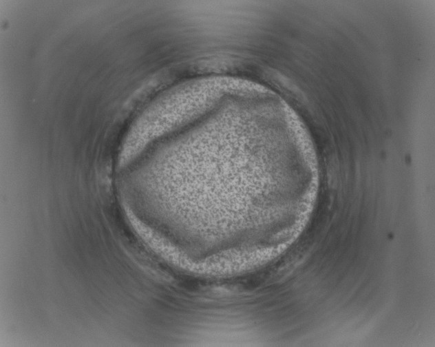 X0000077370737200611101703