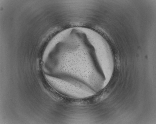 X0000077370738200611101703