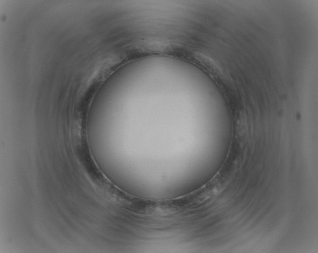 X0000077370739200611101703