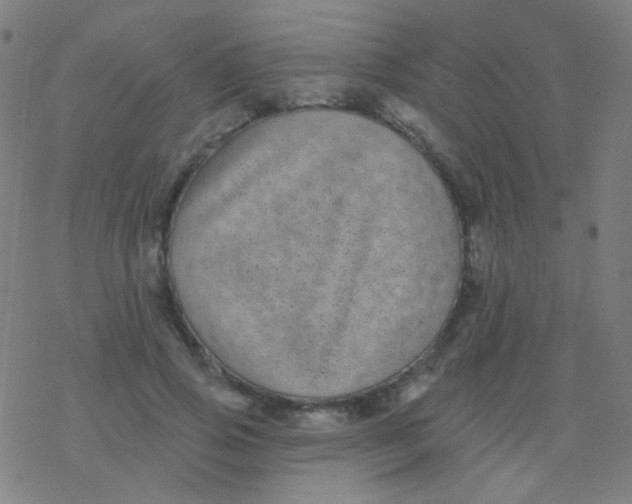 X0000077370741200611101704