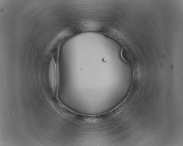 X0000077370742200611101704