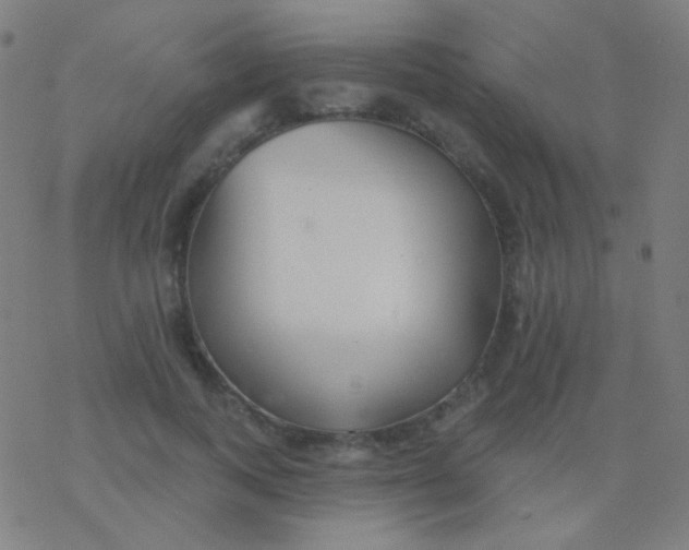 X0000077370743200611101704