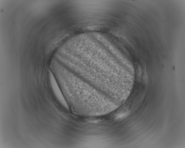 X0000077370746200611101704