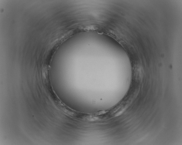 X0000077370747200611101704