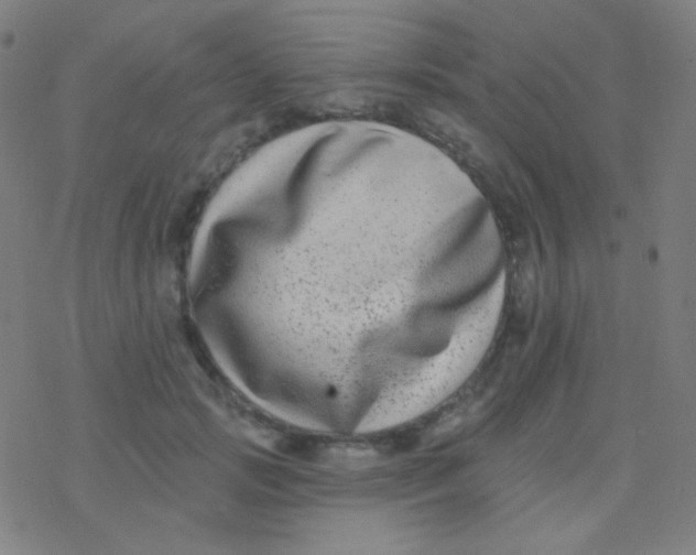 X0000077370749200611101704