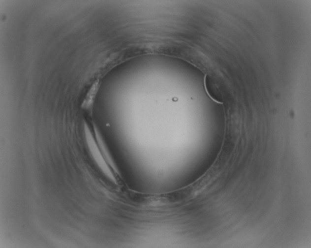 X0000077370750200611101704