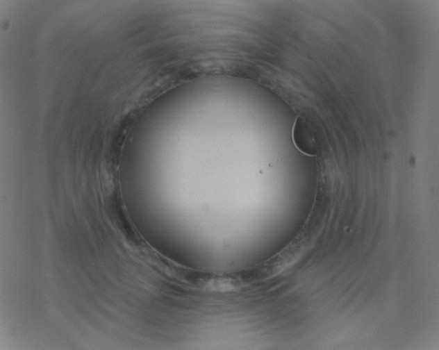 X0000077370751200611101704