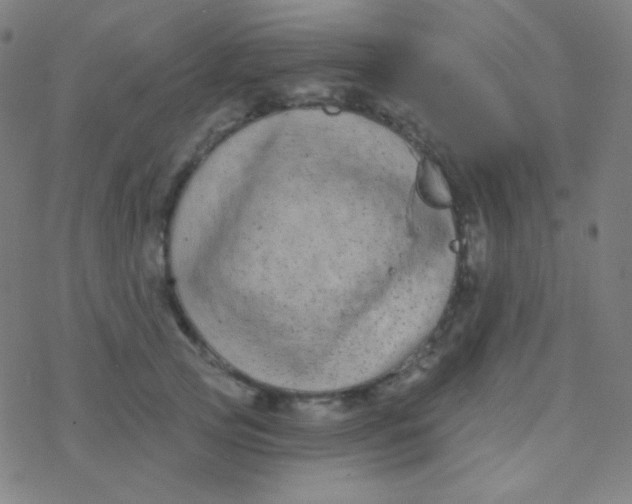 X0000077370753200611101704