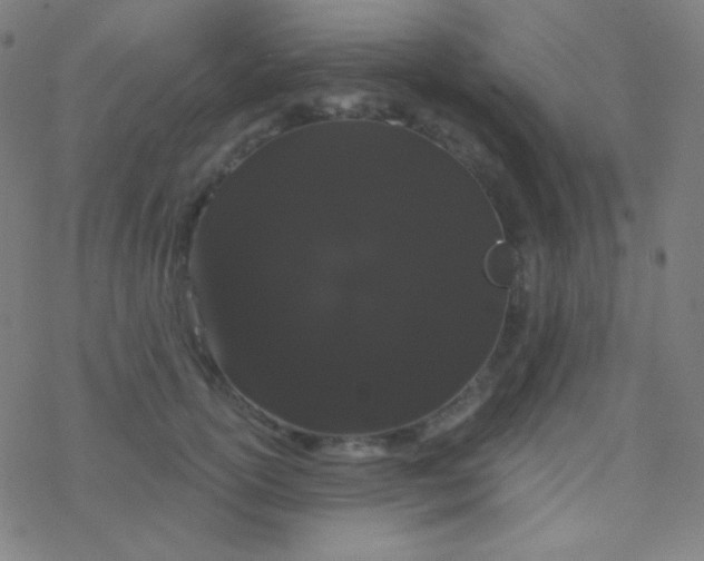 X0000077370754200611101704