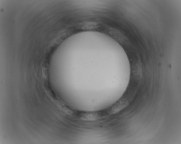 X0000077370755200611101704