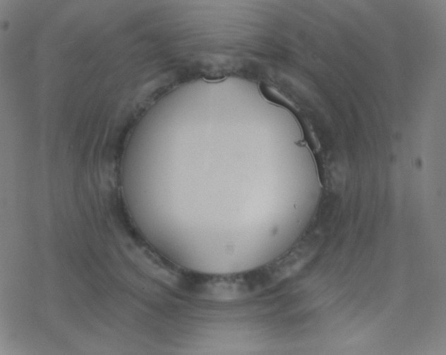 X0000077370756200611101704