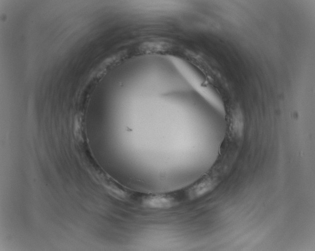 X0000077370759200611101704