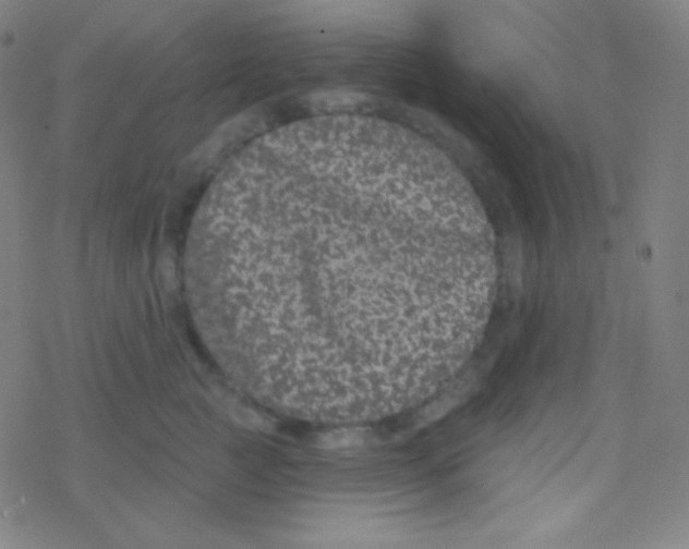 X0000077370761200611101704