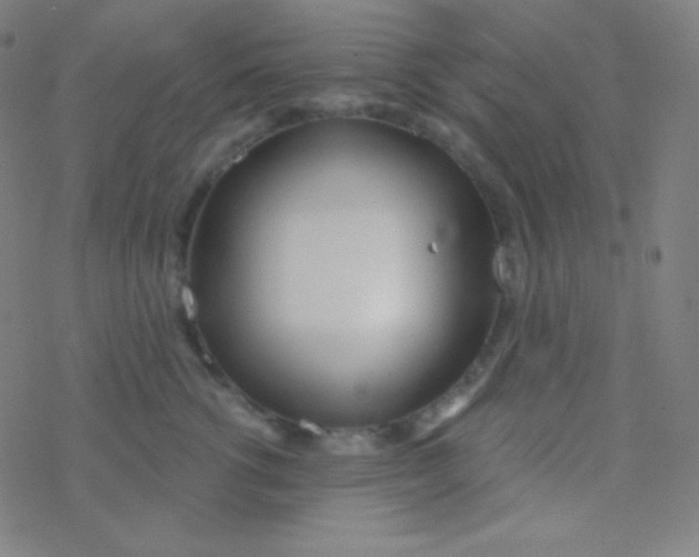 X0000077370762200611101704