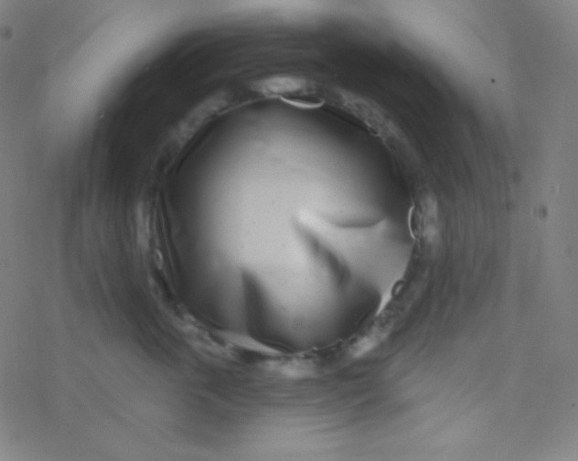 X0000077370763200611101704