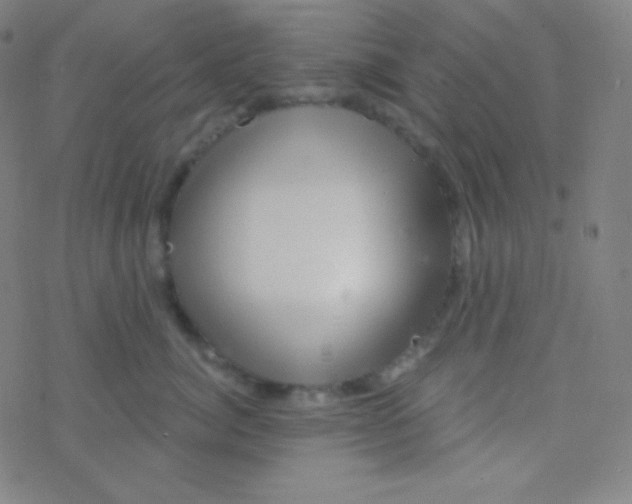 X0000077370764200611101704