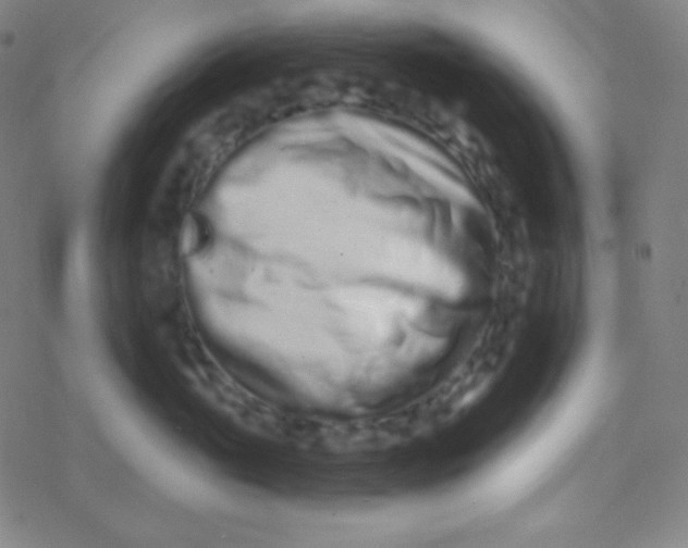 X0000077370765200611101704